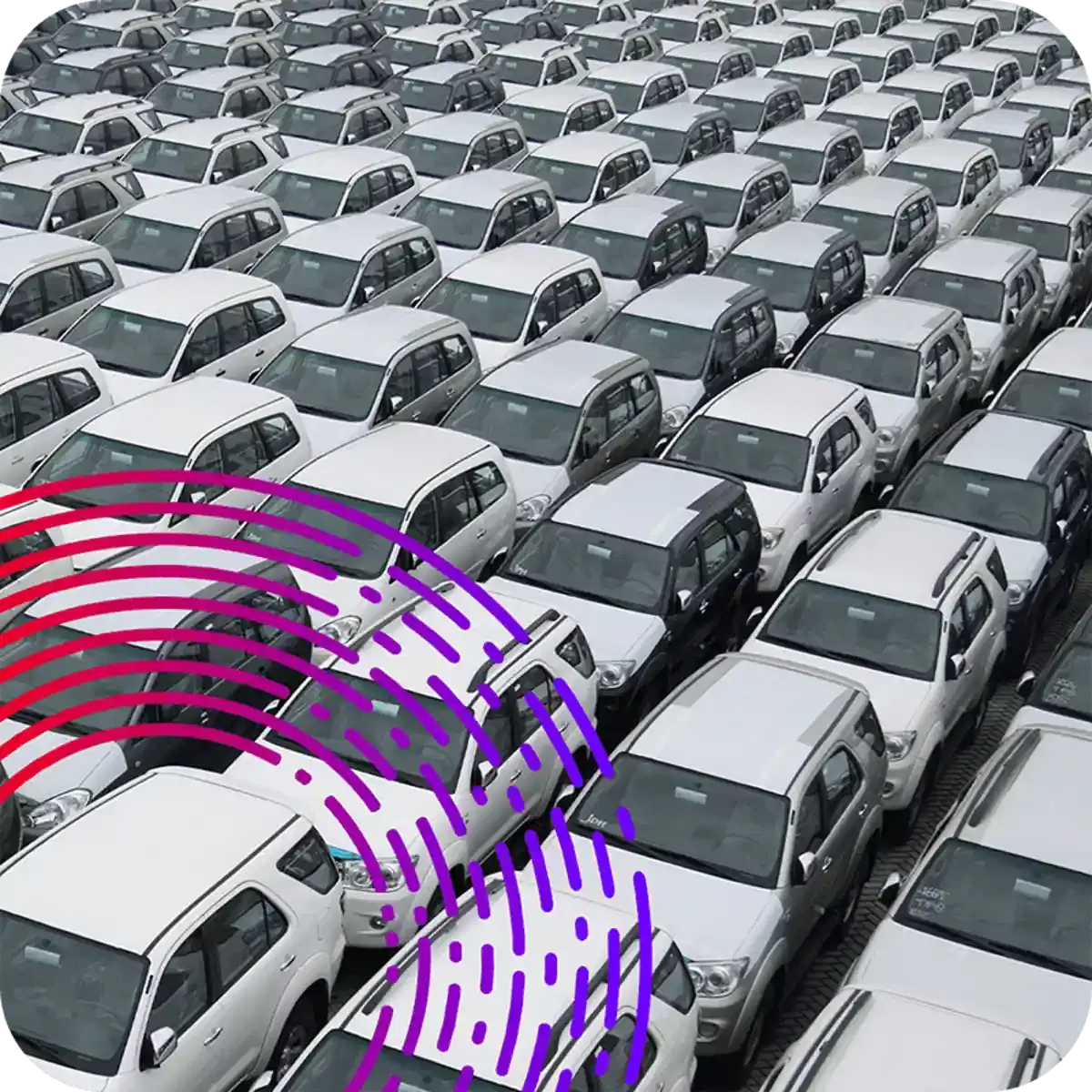 Rows and rows of cars lined up